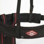 SAMAS Belt SMALL e LARGE - immagine 5