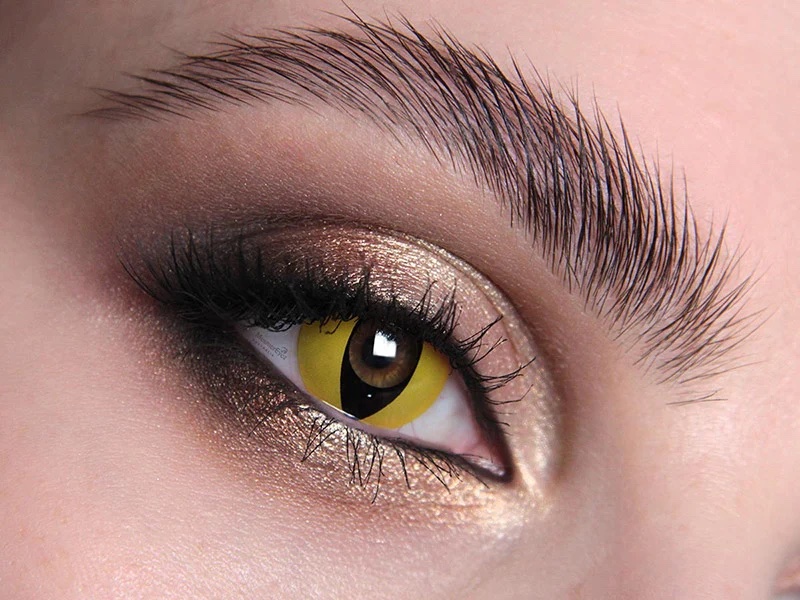 img_7213 Lenti a contatto Gatto - Wild Cat Contact Lenses - immagine 1